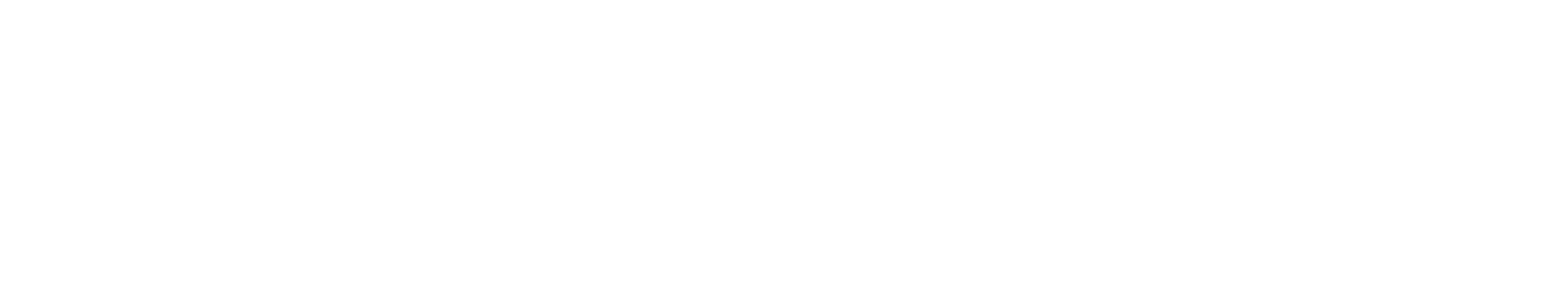 TransPerfect Legal Solutions