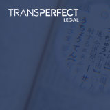 Search Term Translation for eDiscovery