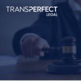 Judges on Generative AI and eDiscovery Challenges